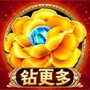 Www.yaxin338.net